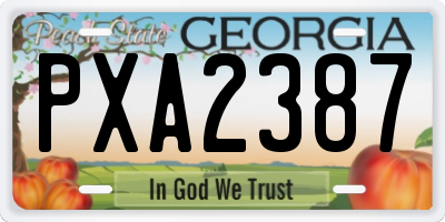 GA license plate PXA2387
