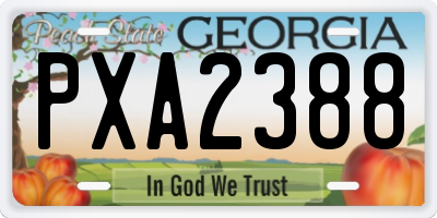 GA license plate PXA2388