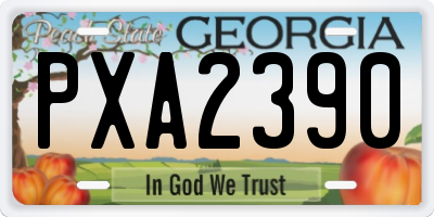 GA license plate PXA2390