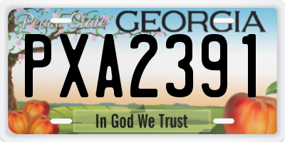 GA license plate PXA2391