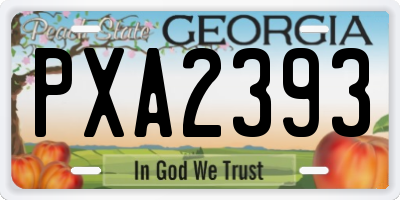 GA license plate PXA2393