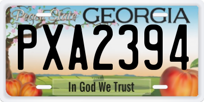 GA license plate PXA2394