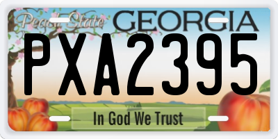 GA license plate PXA2395