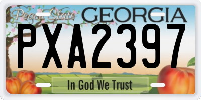 GA license plate PXA2397