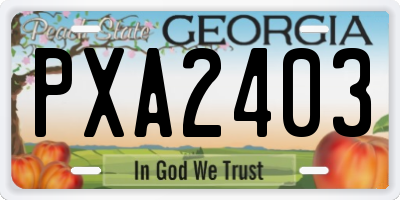 GA license plate PXA2403