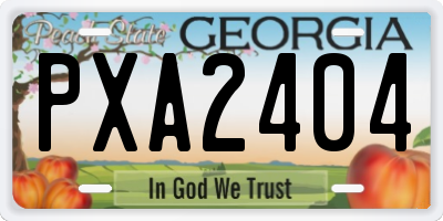 GA license plate PXA2404