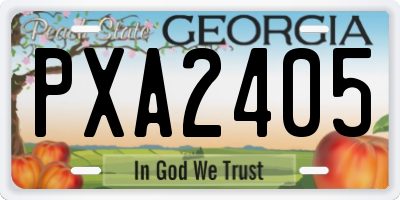 GA license plate PXA2405