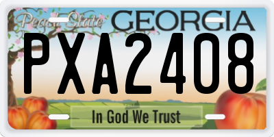 GA license plate PXA2408
