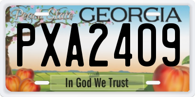 GA license plate PXA2409