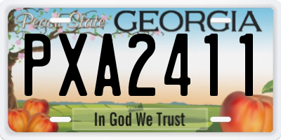 GA license plate PXA2411