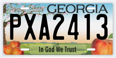 GA license plate PXA2413