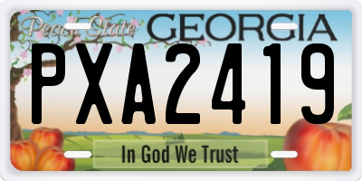 GA license plate PXA2419