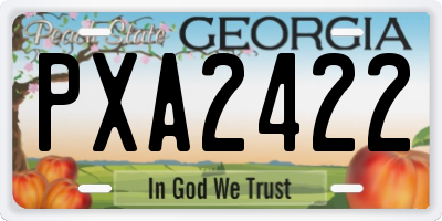 GA license plate PXA2422