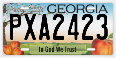 GA license plate PXA2423