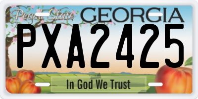 GA license plate PXA2425