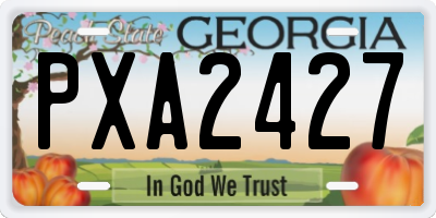 GA license plate PXA2427