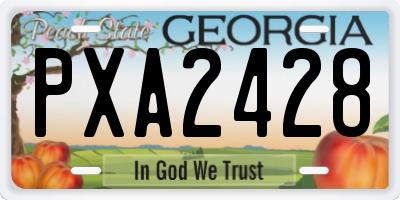 GA license plate PXA2428