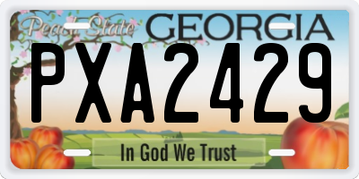 GA license plate PXA2429