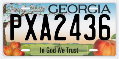 GA license plate PXA2436