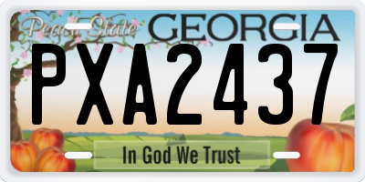 GA license plate PXA2437