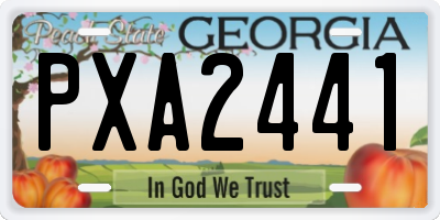 GA license plate PXA2441