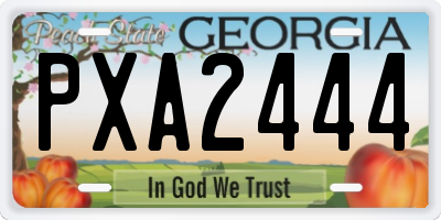 GA license plate PXA2444