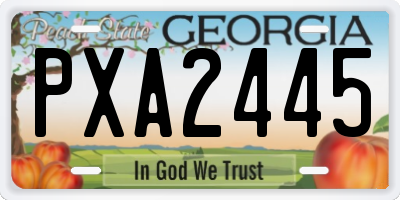 GA license plate PXA2445