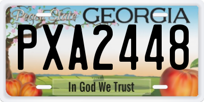 GA license plate PXA2448