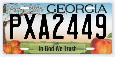 GA license plate PXA2449