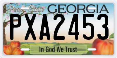 GA license plate PXA2453