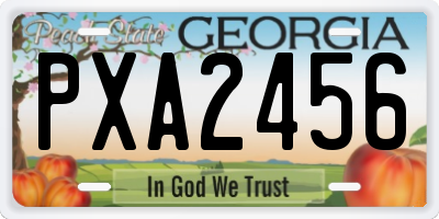 GA license plate PXA2456