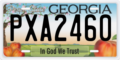 GA license plate PXA2460