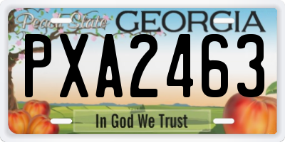 GA license plate PXA2463