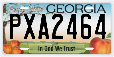 GA license plate PXA2464