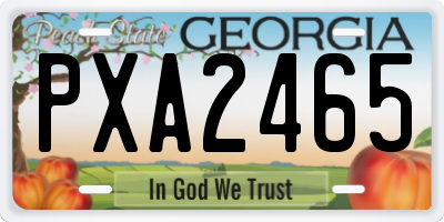 GA license plate PXA2465