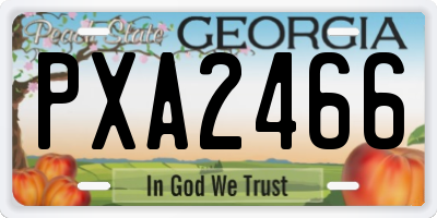 GA license plate PXA2466