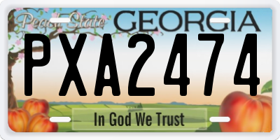 GA license plate PXA2474