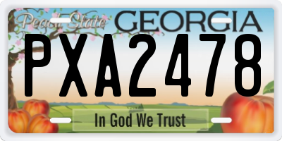 GA license plate PXA2478
