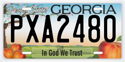 GA license plate PXA2480