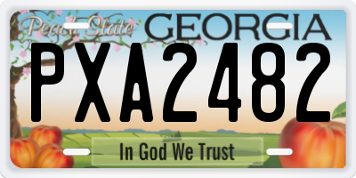 GA license plate PXA2482