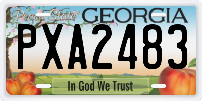GA license plate PXA2483