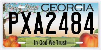 GA license plate PXA2484