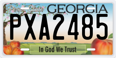 GA license plate PXA2485
