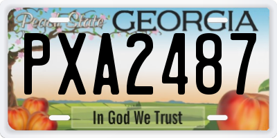 GA license plate PXA2487