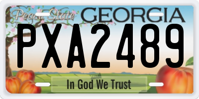 GA license plate PXA2489