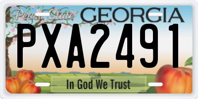 GA license plate PXA2491
