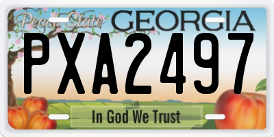 GA license plate PXA2497