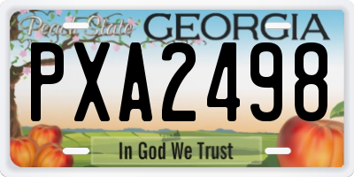 GA license plate PXA2498