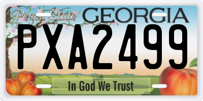 GA license plate PXA2499