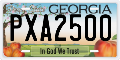 GA license plate PXA2500